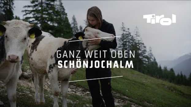 Video Schönjochalm: Tradition trifft auf moderne Landwirtschaft in English