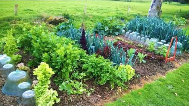 Video DANS CE JARDIN SI PETIT - comptine (Mis en musique et interprété par Agathe MD) in English