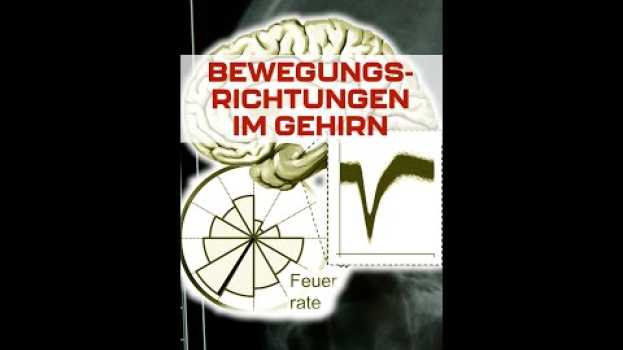 Video Richtungsneurone im Menschen #shorts in English