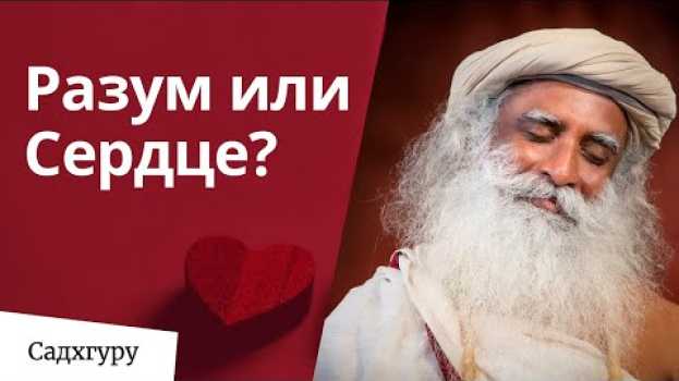 Video Разум или сердце — что слушать?   türkçe