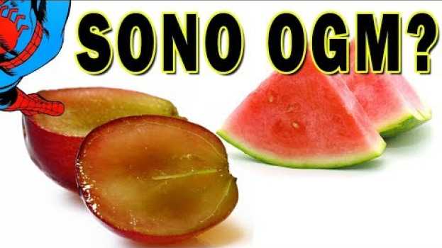Video Uva senza semi, grano irradiato e altri NON OGM   türkçe