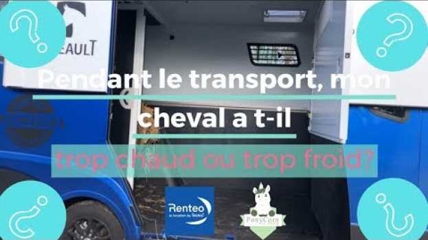 Video [TRANSPORT #2] Mon cheval a t il trop chaud ou trop froid ? en español
