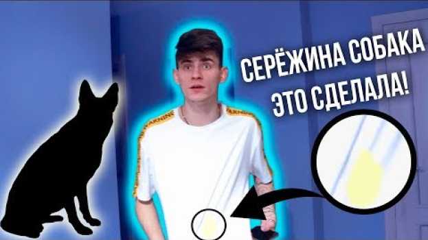 Video МЕНЯ ОБОССАЛА СОБАКА! en français