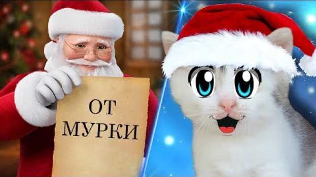 Video ПИСЬМО ДЕДУ МОРОЗУ от ПИТОМЦЕВ! Какие ПОДАРКИ на НОВЫЙ ГОД захотели смешные ТРИ КОТА , Баффи и Пупся su italiano