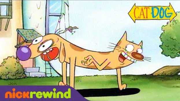Video CatDog’s First & Last Scenes | NickRewind   türkçe